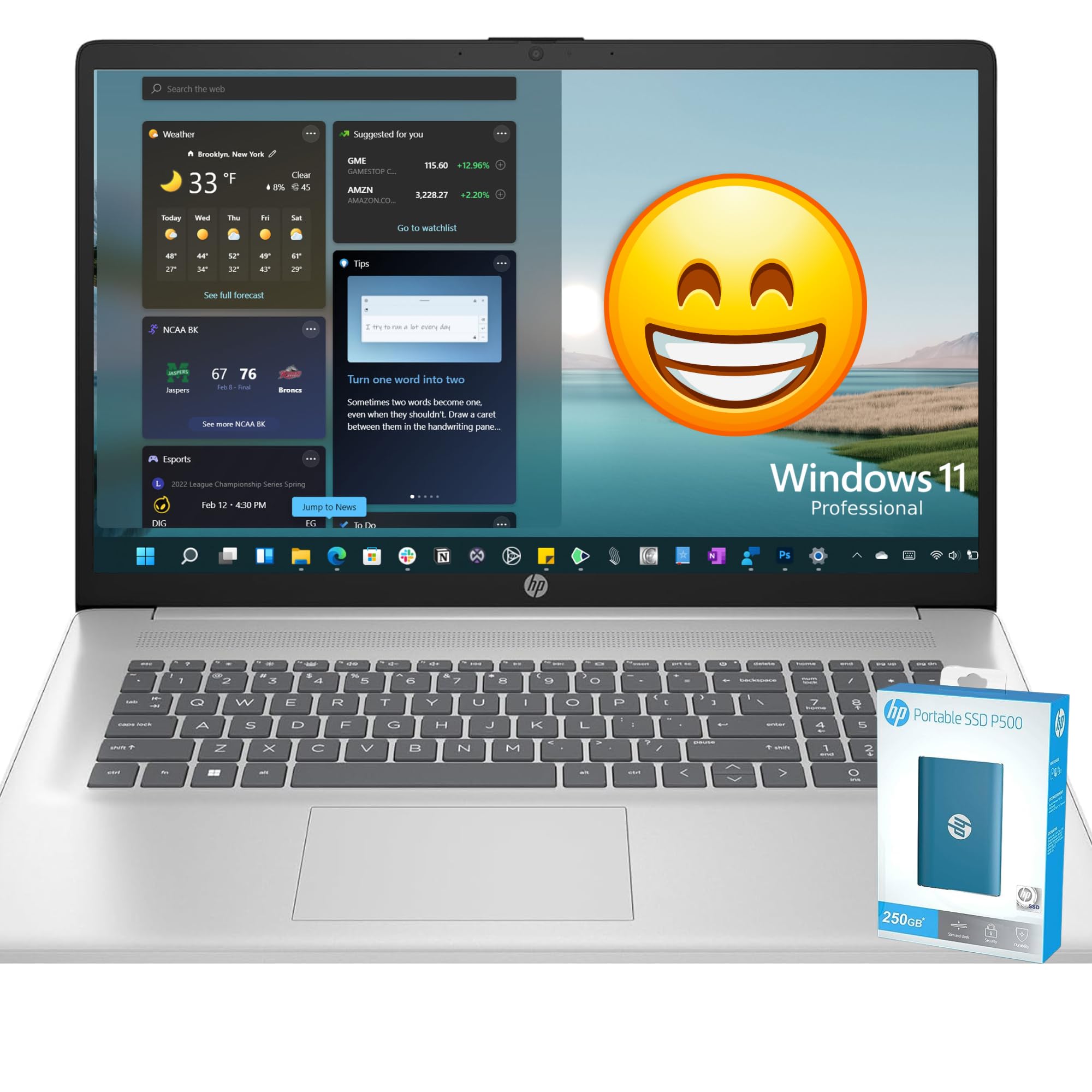 HP Elite 17.3" FHD Laptop for Small Business and College Students, 32GB RAM, 1.2TB SSD Storage(1TB PCIe & 250GB P500 External), AMD 6-Core Processor (Beats Intel Core i7-1065G7), Windows 11 Pro